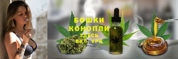 амф Аркадак