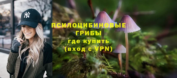 ALPHA PVP Арсеньев